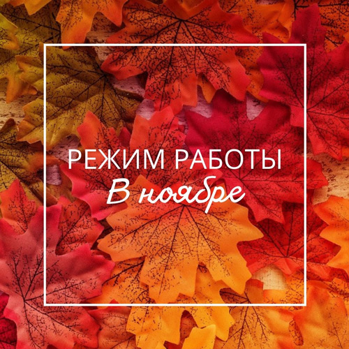 Информация о режимах работы в ноябрьские праздничные дни